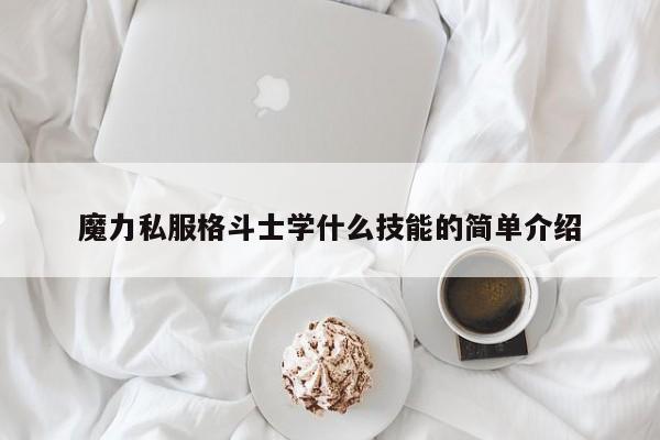 魔力私服肉搏士学什么技能的简单介绍