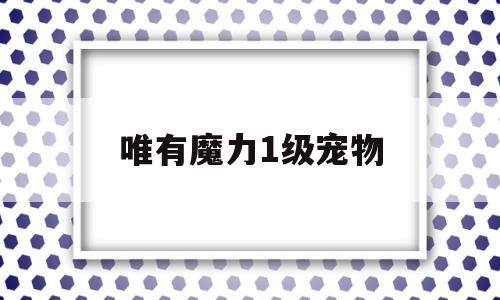 唯有魔力1级宠物_唯有魔力1级宠物图鉴得买吗