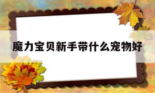 魔力宝贝新手带什么宠物好_魔力宝贝新手带什么宠物好玩