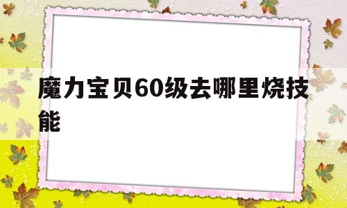 魔力宝贝60级去哪里烧技能_魔力宝贝怀旧100级去哪烧技能