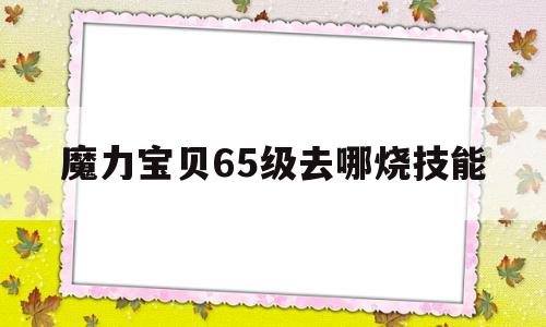 魔力宝贝65级去哪烧技能_魔力宝贝96级去哪里烧技能