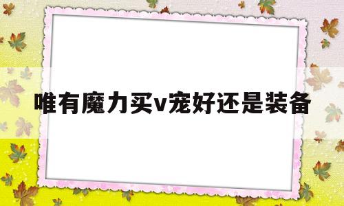 唯有魔力买v宠好还是装备的简单介绍